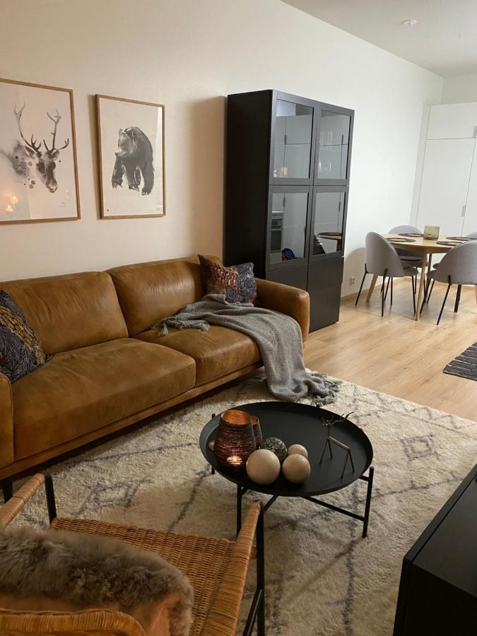 Amazing City Center Apartment Рованиеми Екстериор снимка